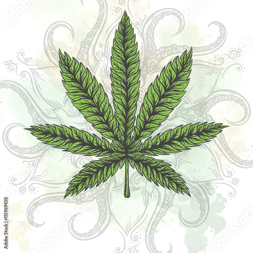 Marijuana leaf. Hand drawn isolated illustrations.