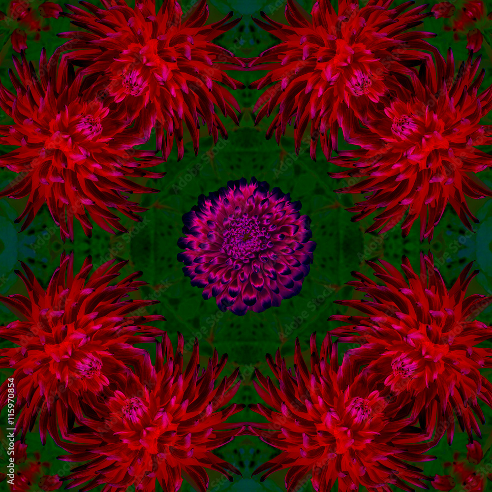 red floral pattern red floral pattern
