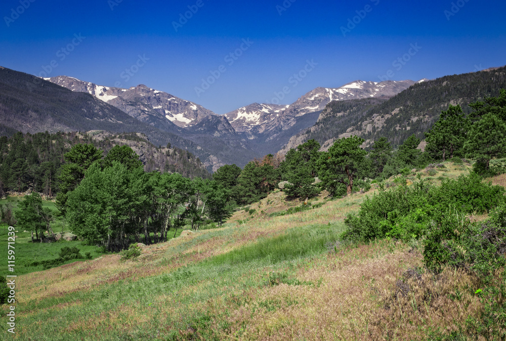 Fototapeta premium Moraine Park, Rocky Mountain National Park, Colorado, USA