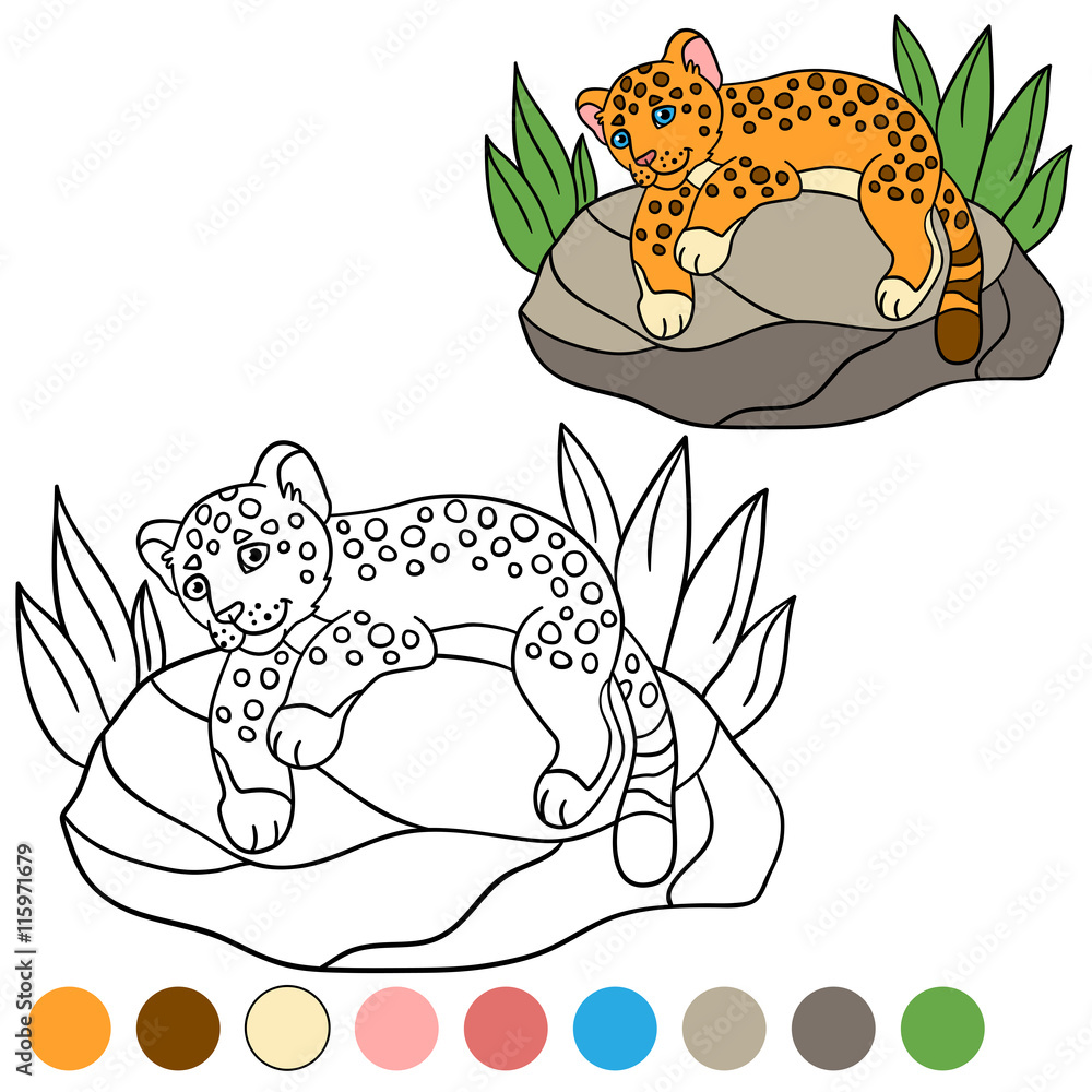 Coloring page with colors. Little cute baby jaguar. Stock Vector ...