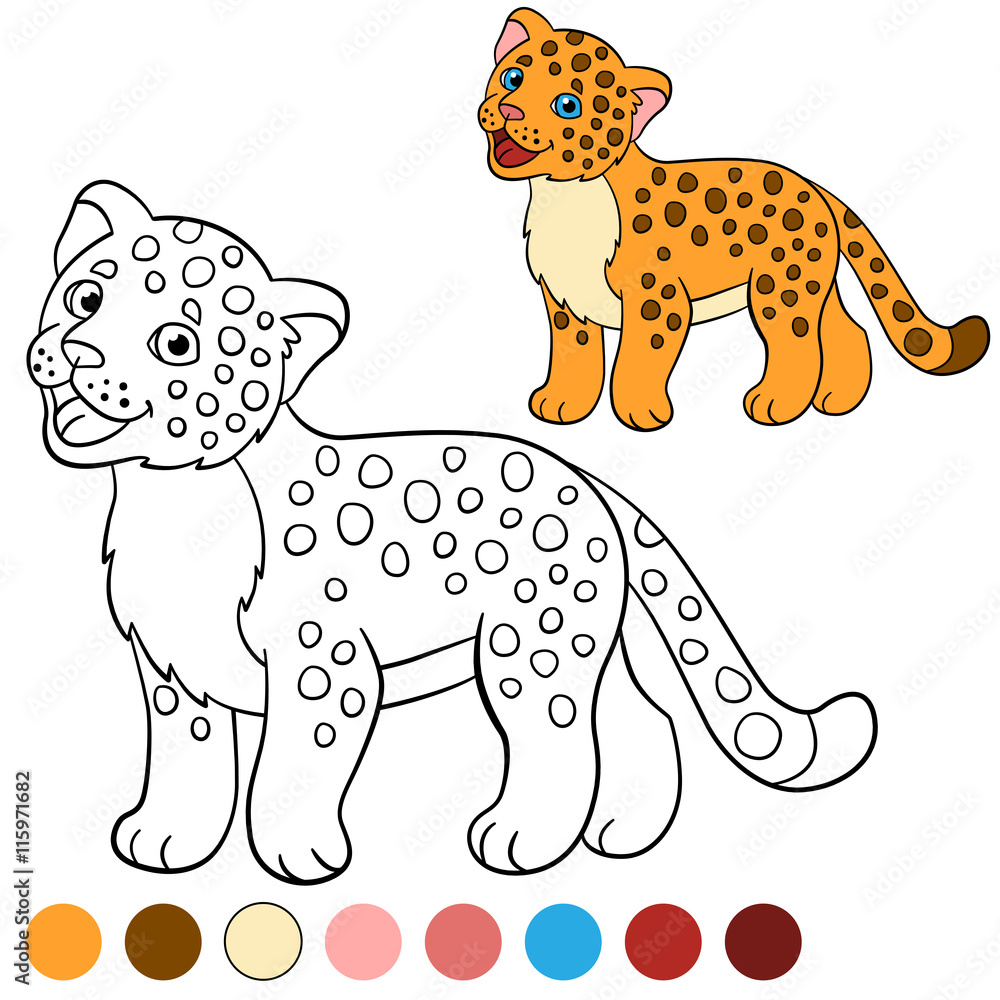 Fototapeta premium Coloring page with colors. Little cute baby jaguar.