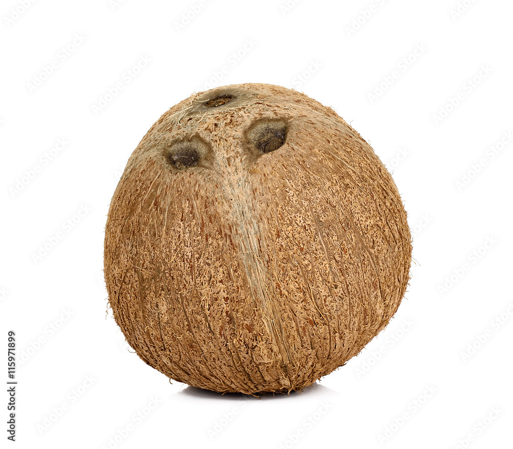 coconut isolated on white coconut isolated on white