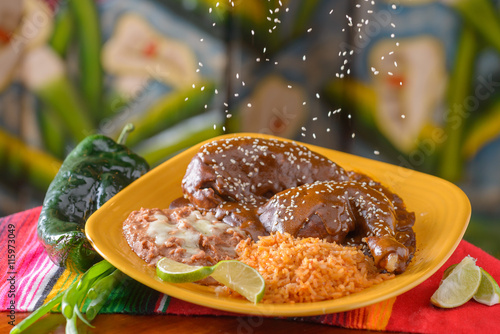 Traditional Mexican food chicken mole