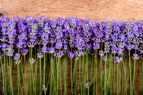Fototapeta Naklejka Na Ścianę i Meble -  frame of lavender on a rustic wooden background