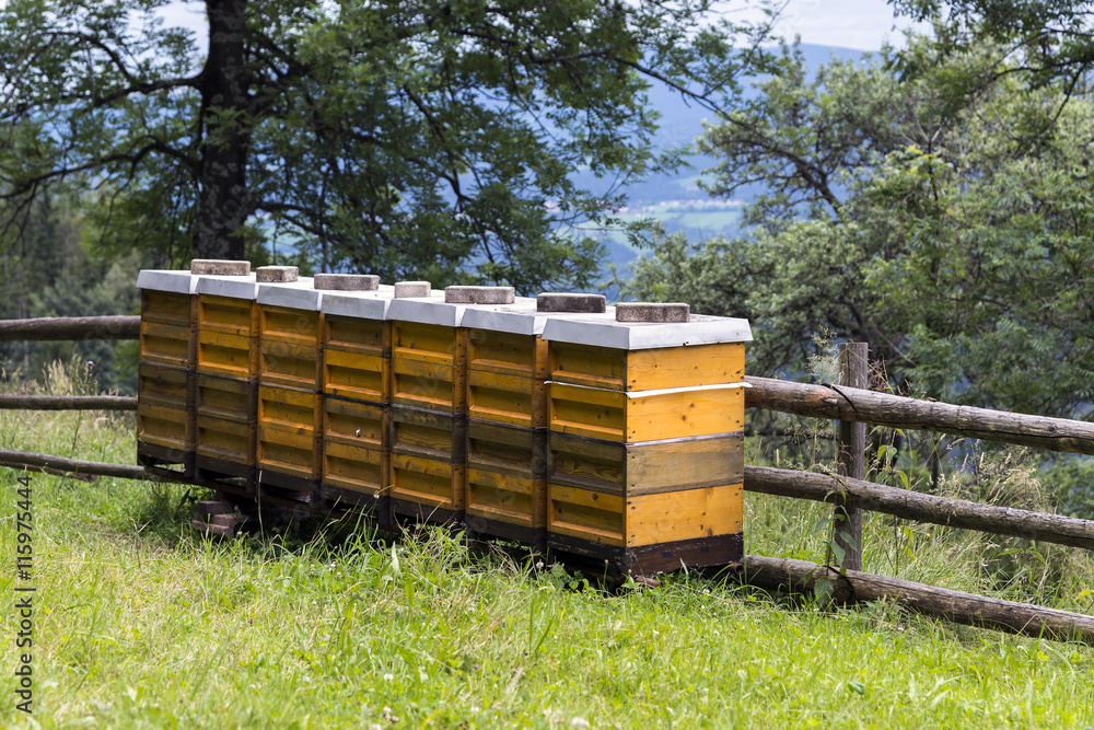 Bienenstöcke