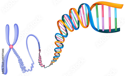 DNA symbol on white background