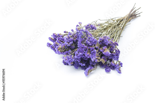 Dry statice flower on white background