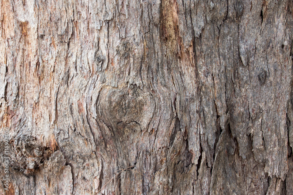 Old brown wood texture background Old brown wood texture background