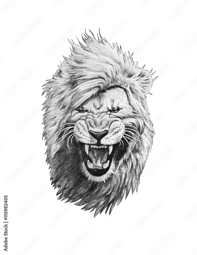 Obraz premium Pencil drawing of a lion head