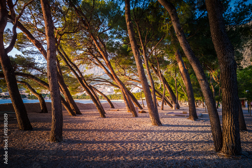 Soft afternoon sunlight on an empty beach in Makarska, Dalmatia, Croatia photo