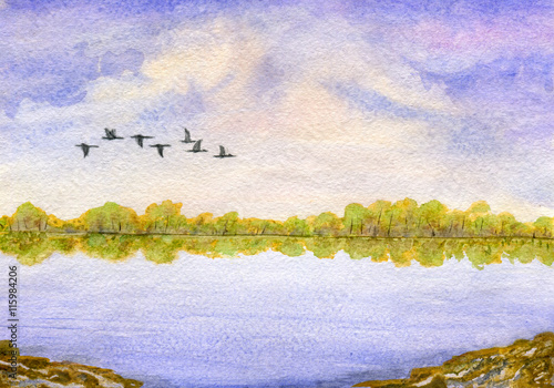 Lake and birds