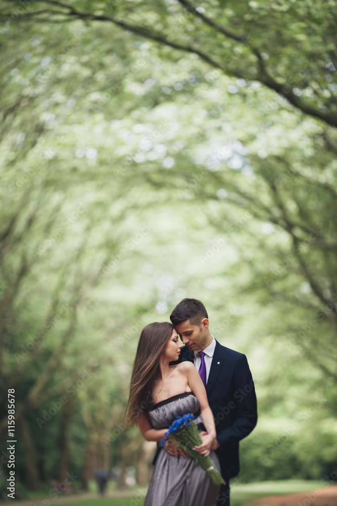 Young beautiful couple, girl with perfect dress posing in park Young beautiful couple, girl with perfect dress posing in park
