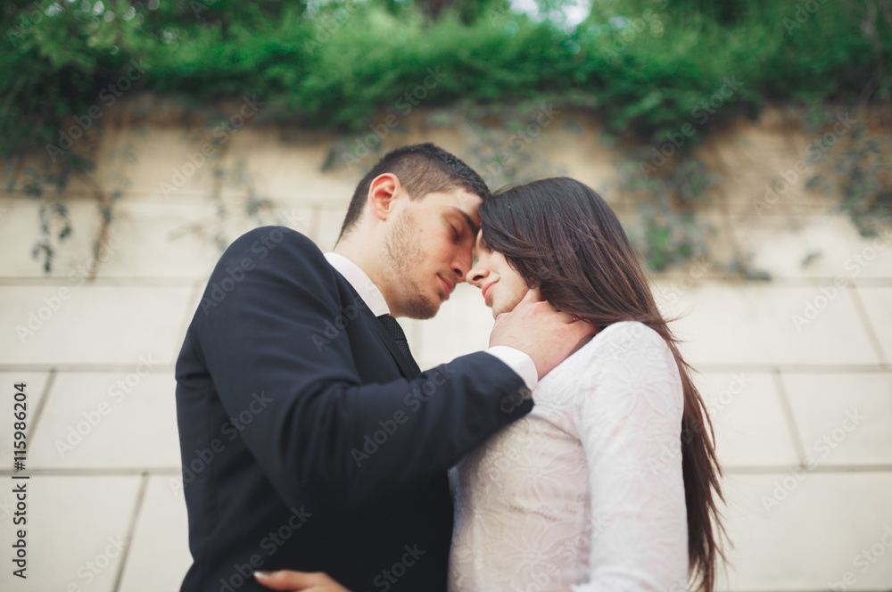 Wonderful luxury wedding couple posing near great wall Wonderful luxury wedding couple posing near great wall