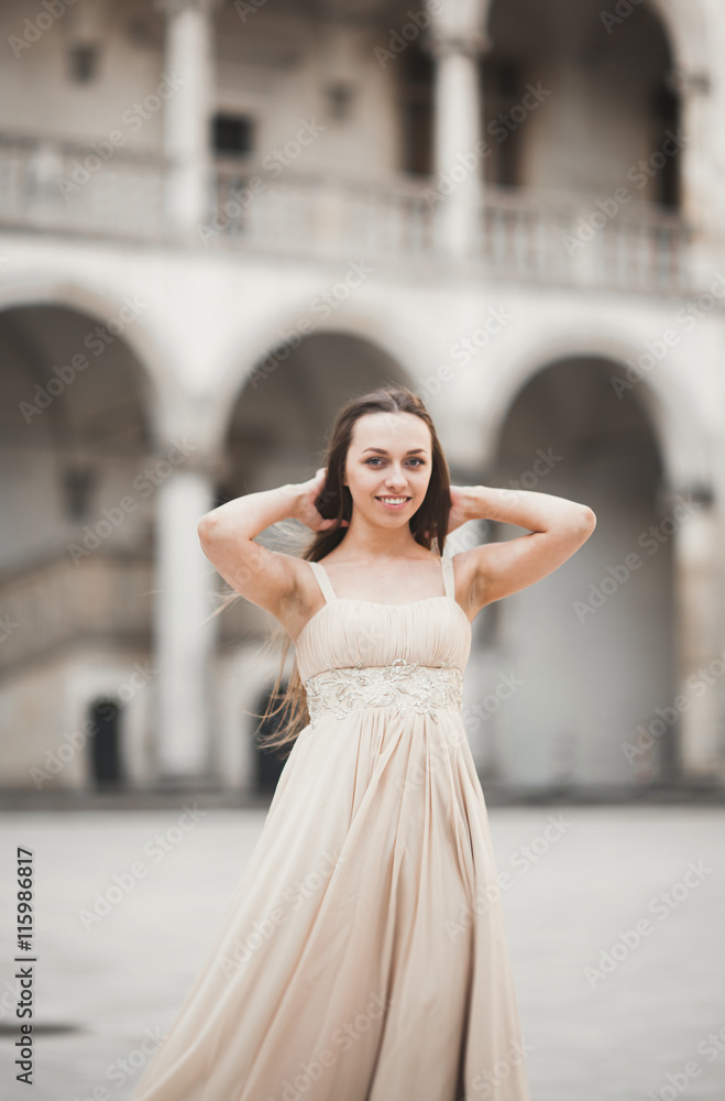 Beautiful girl, model with long hair posing in old castle near columns. Krakow Vavel Beautiful girl, model with long hair posing in old castle near columns. Krakow Vavel