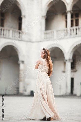 Beautiful girl, model with long hair posing in old castle near columns. Krakow Vavel