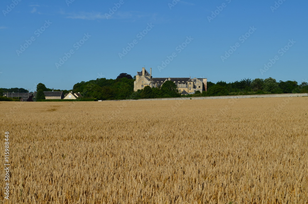 Paysage du Bessin (Région de Creully - Calvados) Paysage du Bessin (Région de Creully - Calvados)