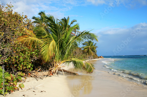 Fototapeta Naklejka Na Ścianę i Meble -  Flamenco beach on Culebra Island, Puerto Rico, with a palm, bushes and far view of an old rusted US army tank