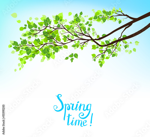 Spring branch