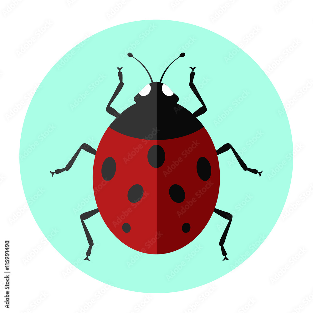 insects flat icon insects flat icon