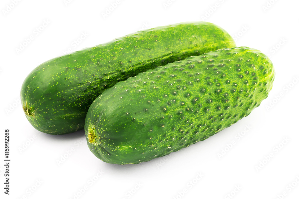 Fresh and ripe cucumbers isolated on white background. Fresh and ripe cucumbers isolated on white background.