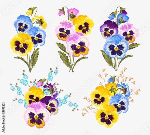 Set of pansy bouquets