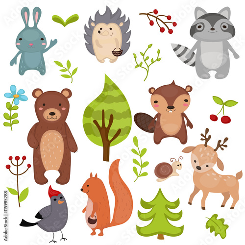 Forest animals.