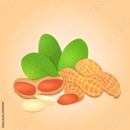 Vector illustration peanut nut. A handful of shelled peanuts nuts in shell and shelled, leaves. Tasty Image on beige background nuts for printing on packaging, advertising of healthy foods