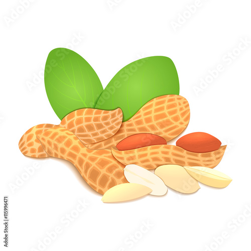 Vector illustration peanut nut. A handful of shelled peanuts nuts in shell and shelled, leaves. Tasty Image on white background nuts for printing on packaging, advertising of healthy foods