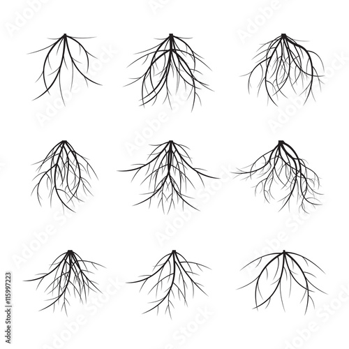 Set of Black Roots. Vector Illustration.
