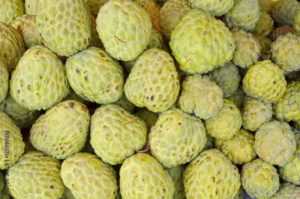 custard apple custard apple