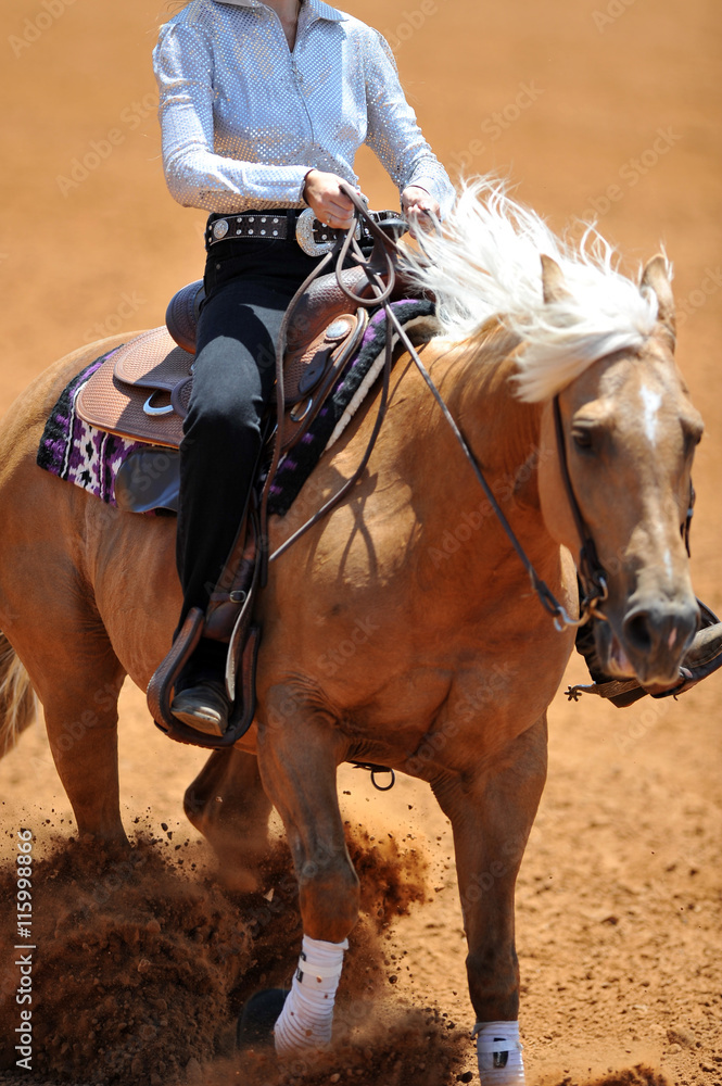 The front view of the rider in leather chaps sliding his horse forward and raising up the clouds of dust The front view of the rider in leather chaps sliding his horse forward and raising up the clouds of dust