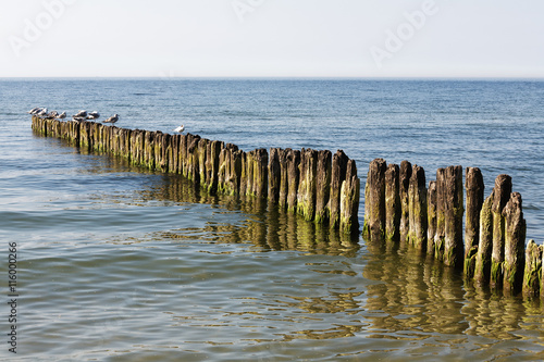 Old wooden breakwater in Baltic Sea