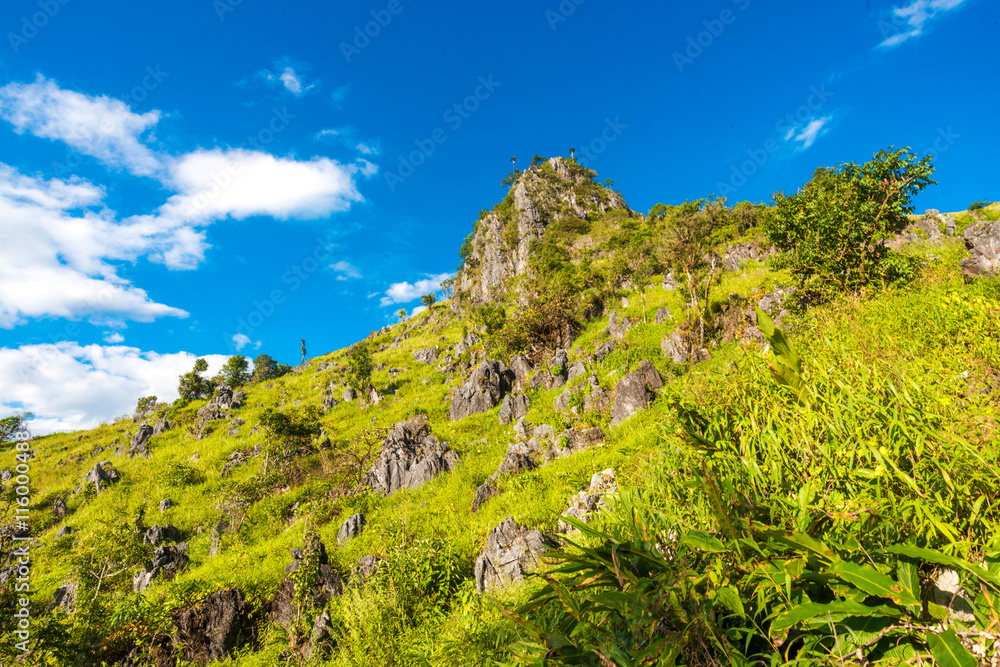 Green scene sub alpine mountain blue sky