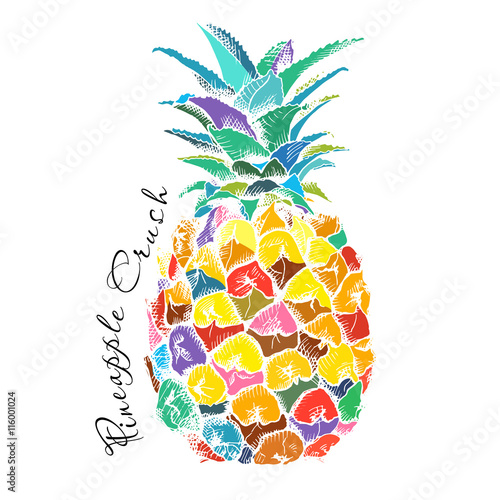 Poster with Image of pineapple fruit. Vector illustration.