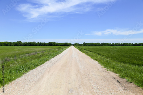 Farm Road between Fields
