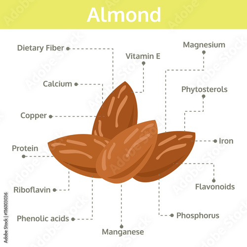 almond nutrient of facts and health benefits, info graphic nut