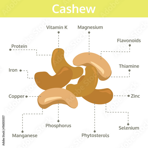 cashew nutrient of facts and health benefits, info graphic nut