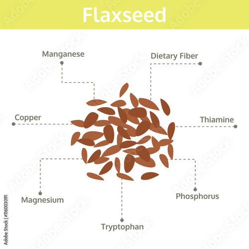 flaxseed nutrient of facts and health benefits, info graphic