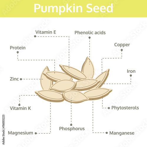 pumpkin seed nutrient of facts and health benefits, info graphic