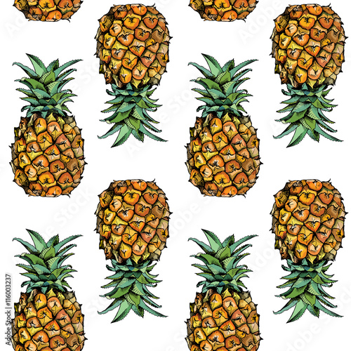 Seamless pattern with image of a Pineapple fruit in color. Vector illustration.