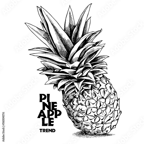 Pineapple. Vector black and white illustration.