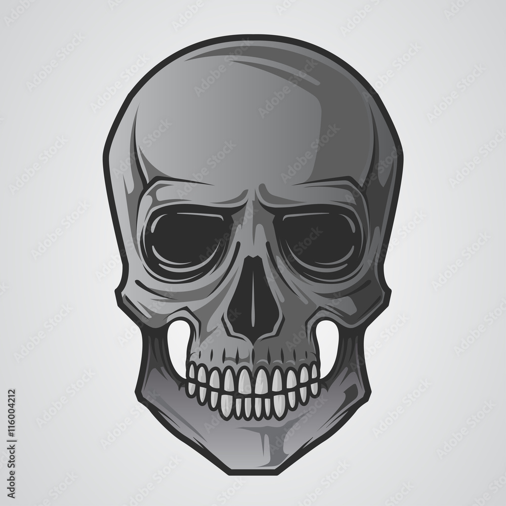 Fototapeta premium Skull illustration