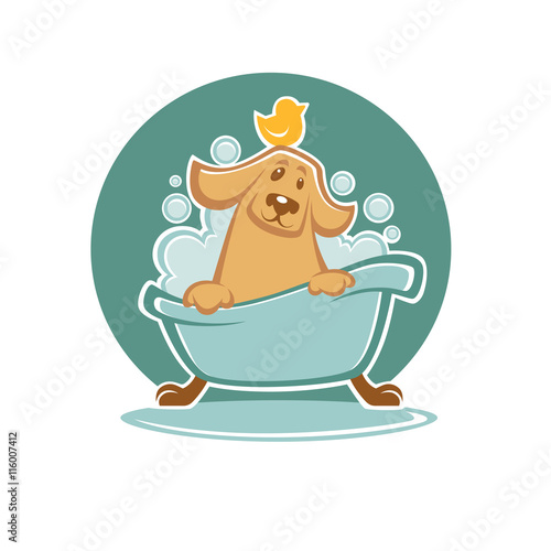 wash your pet, funny cartoon dog taking a bath in bathtube