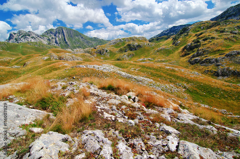 Montenegro, national park Durmitor, mountains and clouds panorama. Sunlight lanscape. Nature travel background.