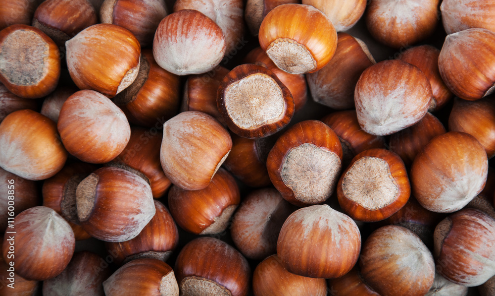 hazelnuts - food background hazelnuts - food background
