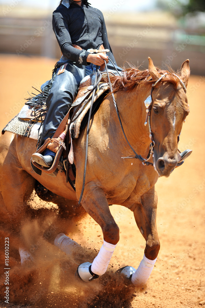 Obraz premium The front view of the rider in leather chaps sliding his horse forward and raising up the clouds of dust