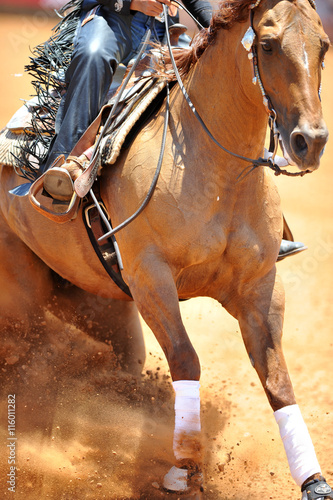 The front view of the rider in leather chaps sliding his horse forward and raising up the clouds of dust