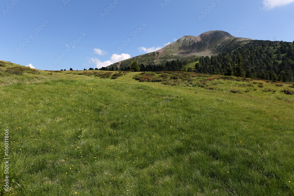 landscape montain landscape montain