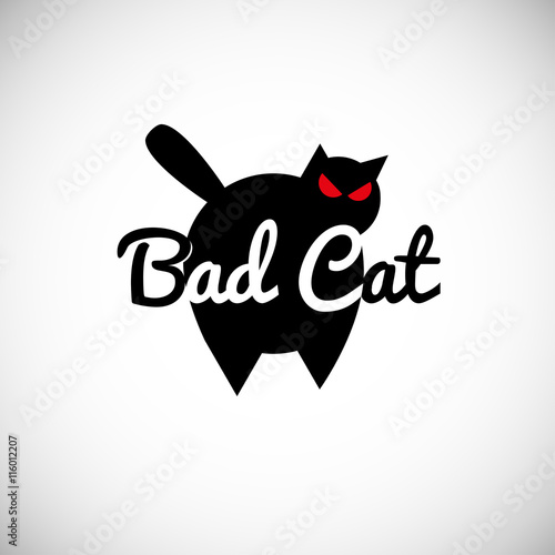 cat illustration
