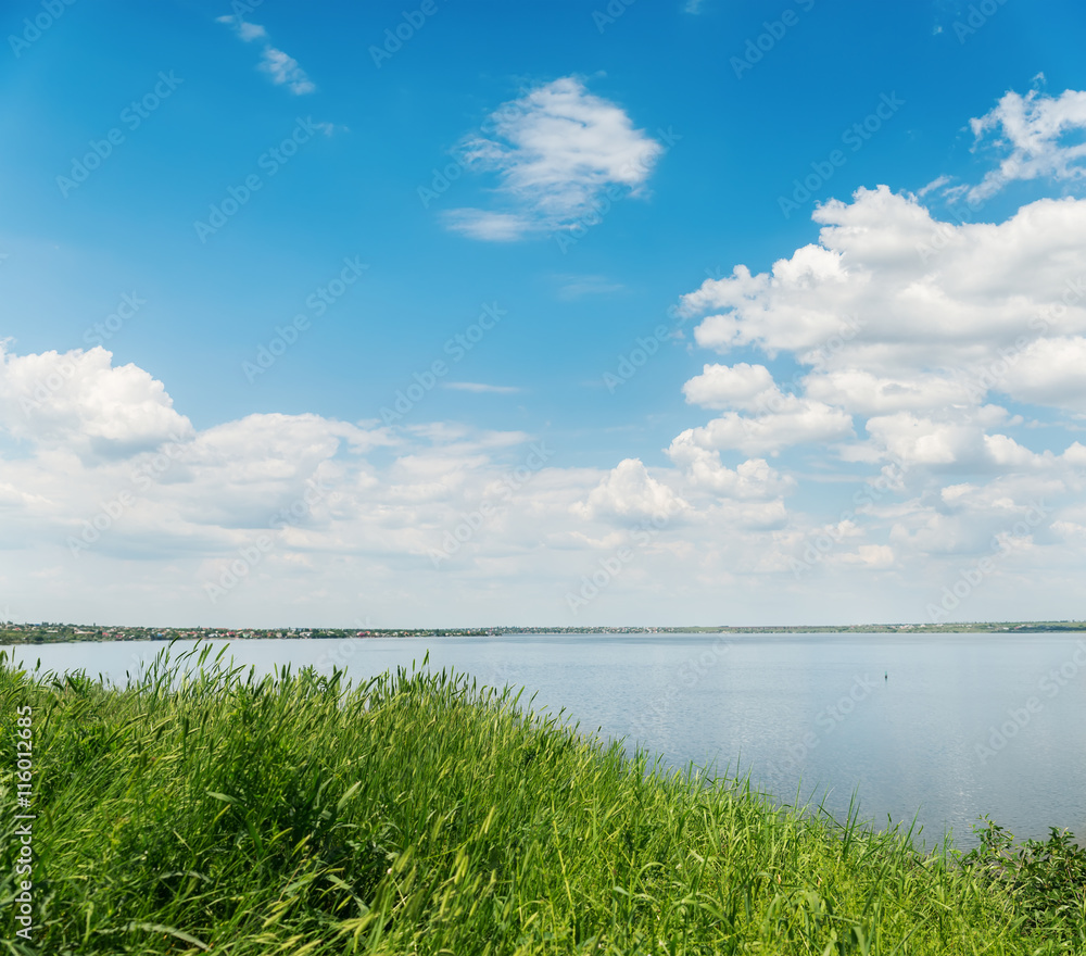 summer landscape with green grass, river and clouds in blue sky